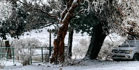 La nieve volvió a teñir de blanco las sierras y renueva las expectativas para las vacaciones de in