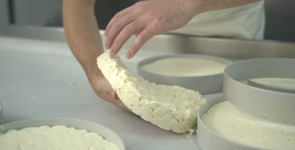 Córdoba apuesta a la consolidación de Caminos del Queso como producto turístico provincial