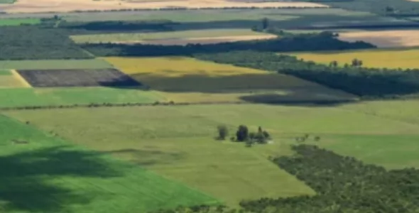 Tierras en manos extranjeras: un legislador fueguino alerta sobre el riesgo para la soberanía