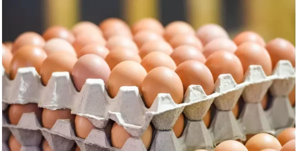 Huevos: sube la demanda y hay una amplia variedad de precios para los maples