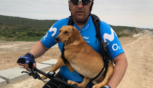 Rescató a un perrito que dejaron abandonado en medio de la ruta