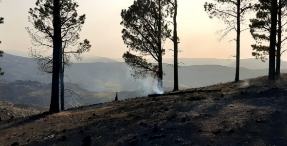 La reserva Monos Carayá se recupera tras los incendios