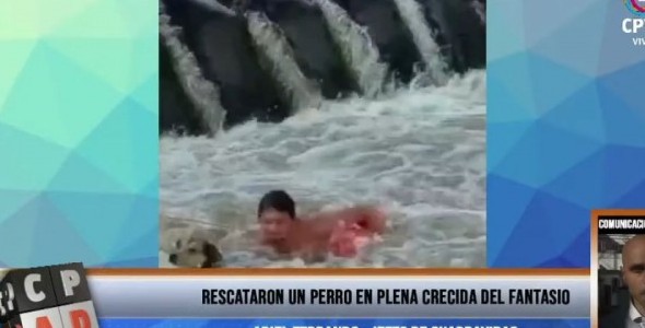 Guardavidas en Carlos Paz rescataron un perrito en plena crecida del río