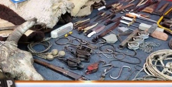 Investigan robo de ganado en la región