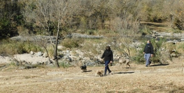 San Antonio de Arredondo transita con normalidad la etapa de distanciamiento social
