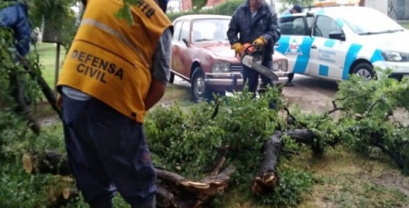 FUERTE TORMENTA AFECTÓ VARIOS PUNTOS DE LA PROVINCIA