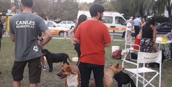 Jornada de adopción y vacunación antirrábica