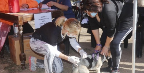 Inicio la campaña de vacunación antirrábica en los barrios de Villa Carlos Paz